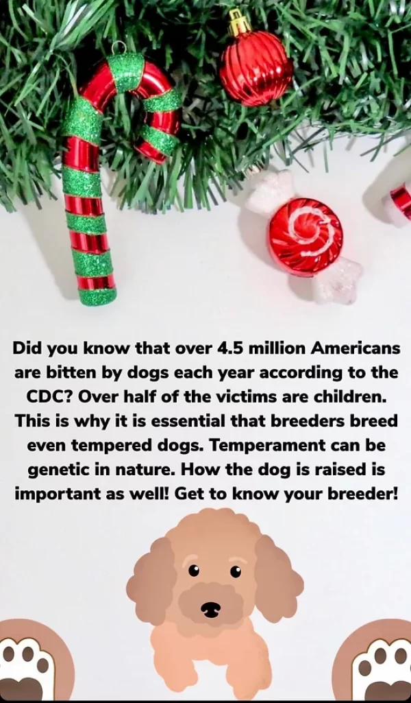 Shih Tzu facts