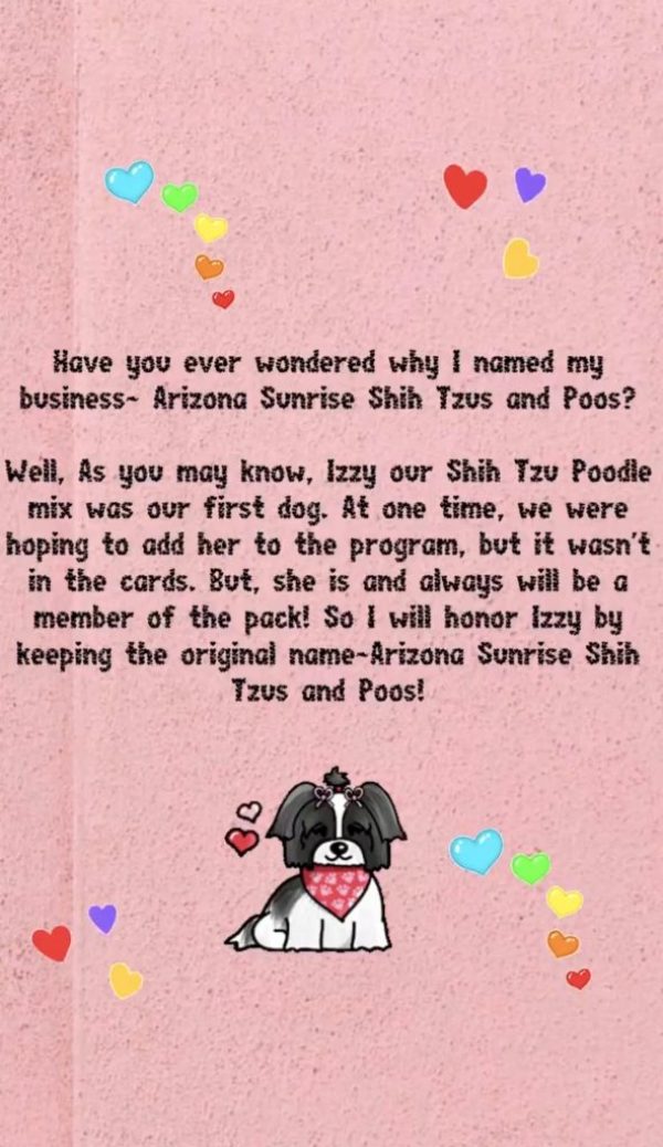 Reason for my business name