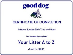 Breeder certificate of recognition from good dog