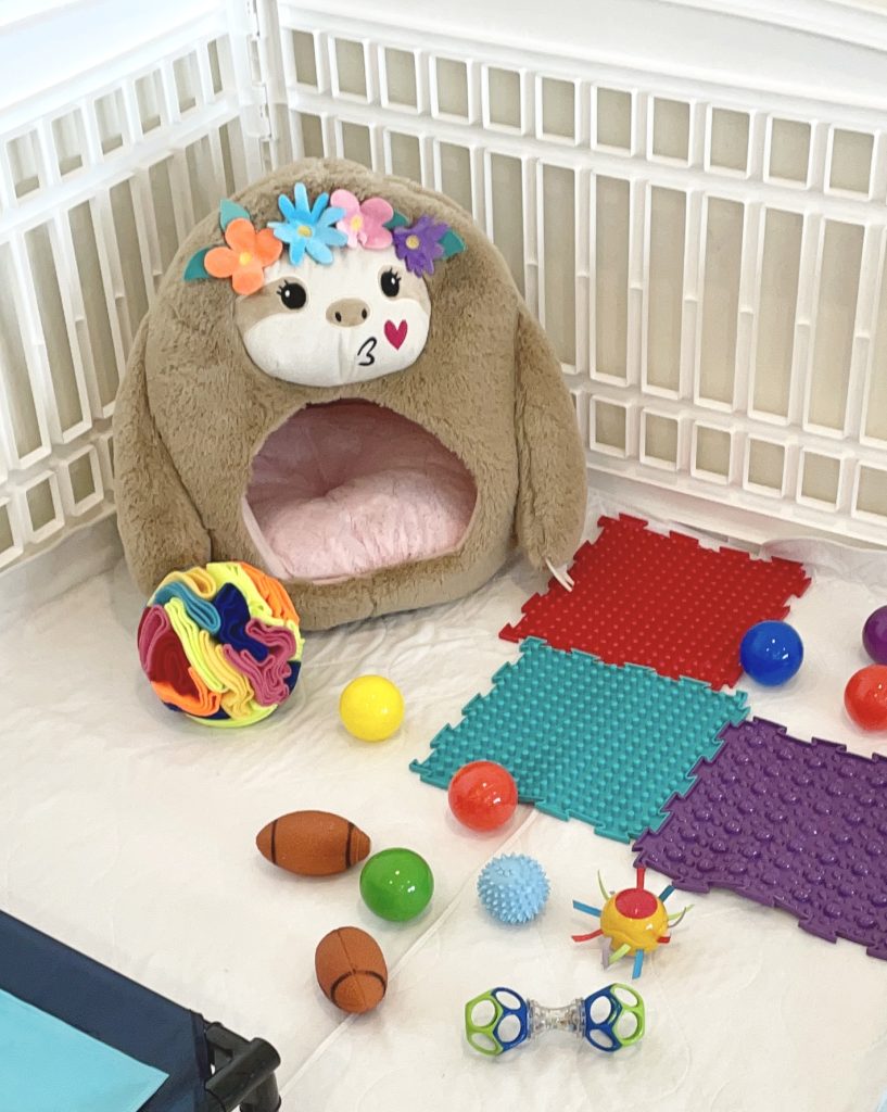 Shih Tzu puppy curriculum set up including tactile surfaces, a cat bed and toys.