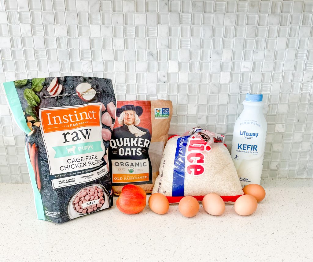 Some probiotic rich foods that are good for Shih Tzu puppies.